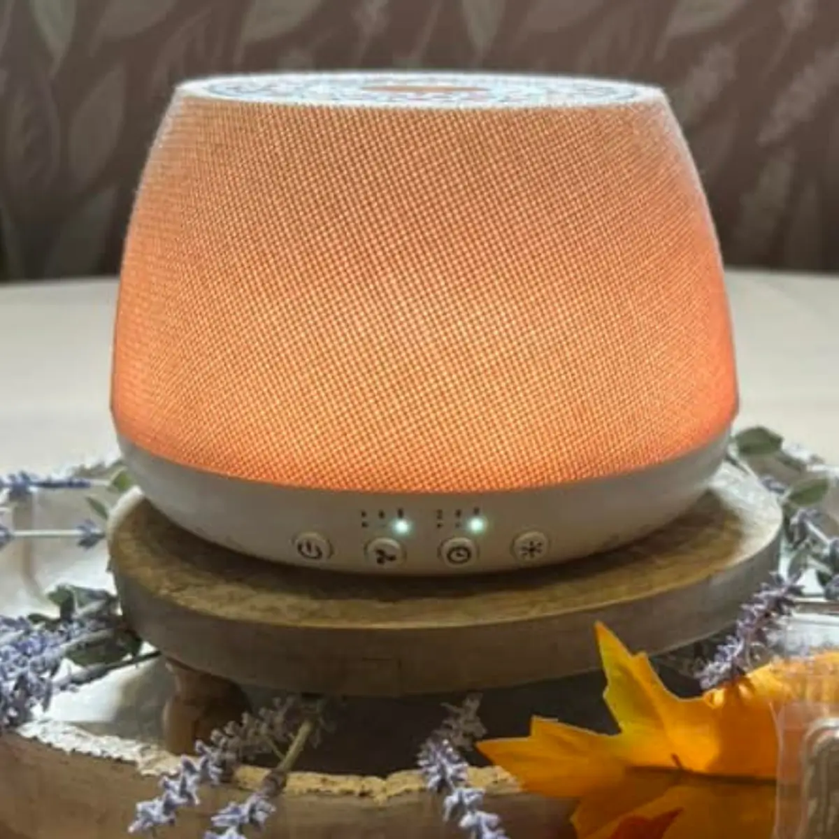 Scentsy Family Reunion - July 16-19, 2024 | Fall 2024 Info & Training