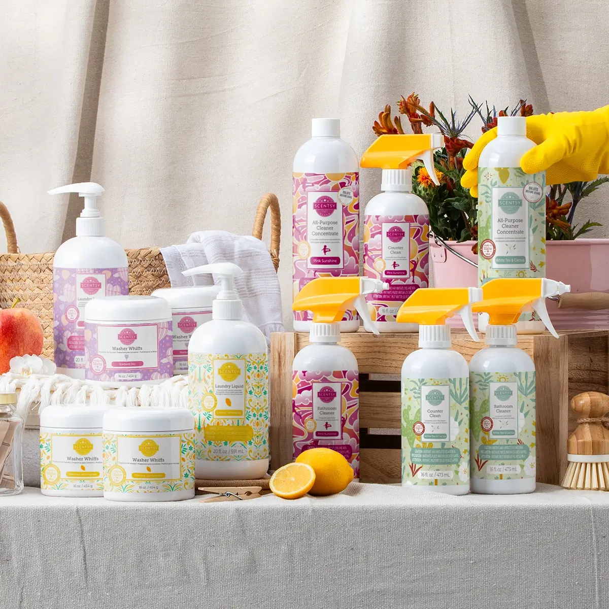 Scentsy Kitchen Decor & Fragrance