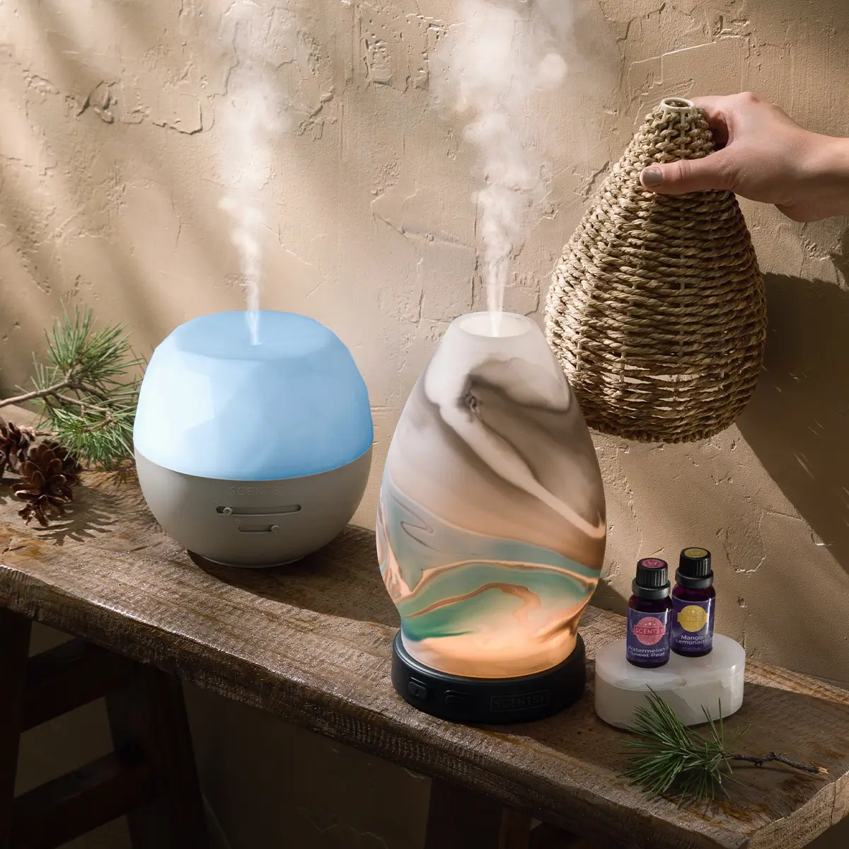 Scentsy Diffuser Bundle Deals December 2024