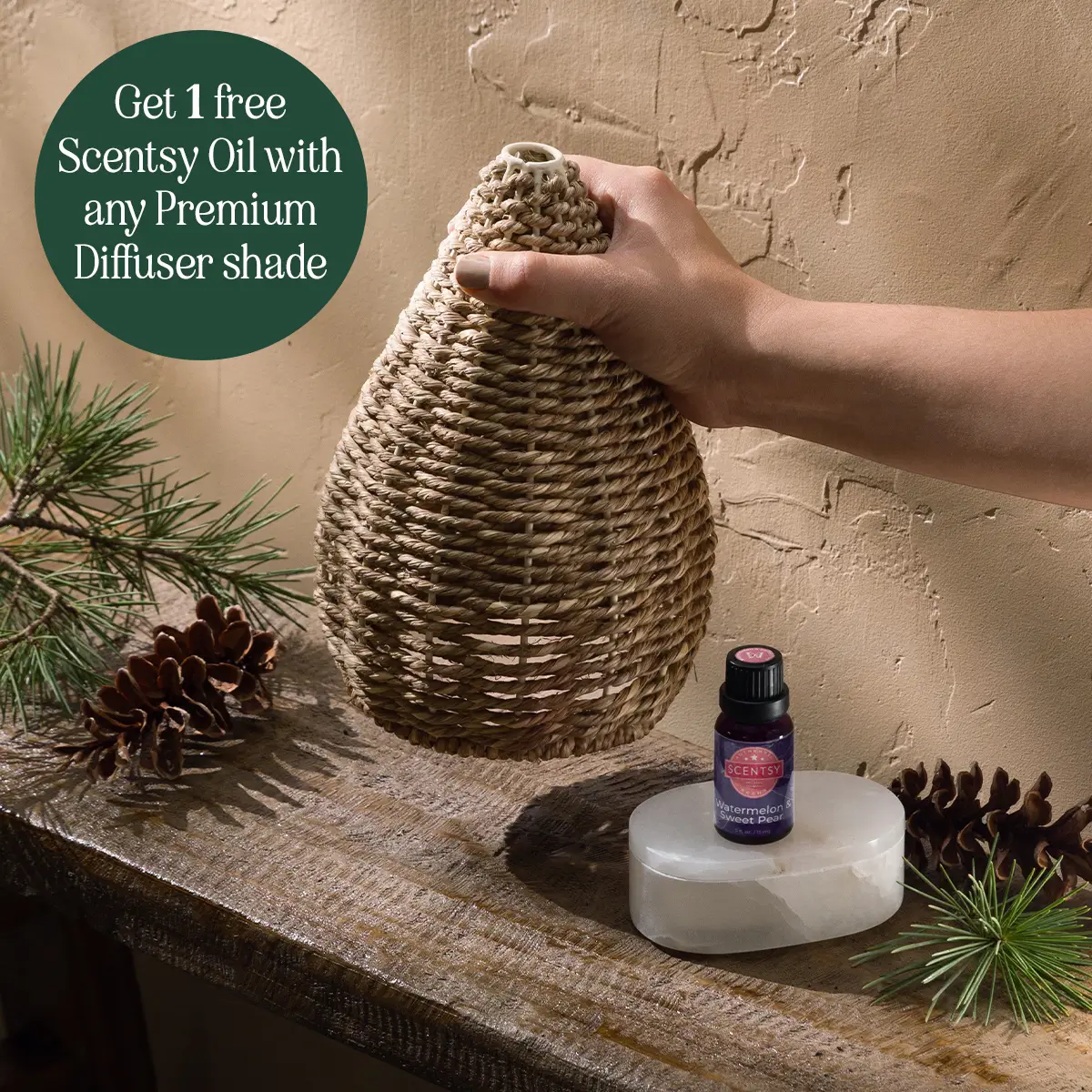 Scentsy Diffuser Bundle Deals December 2024