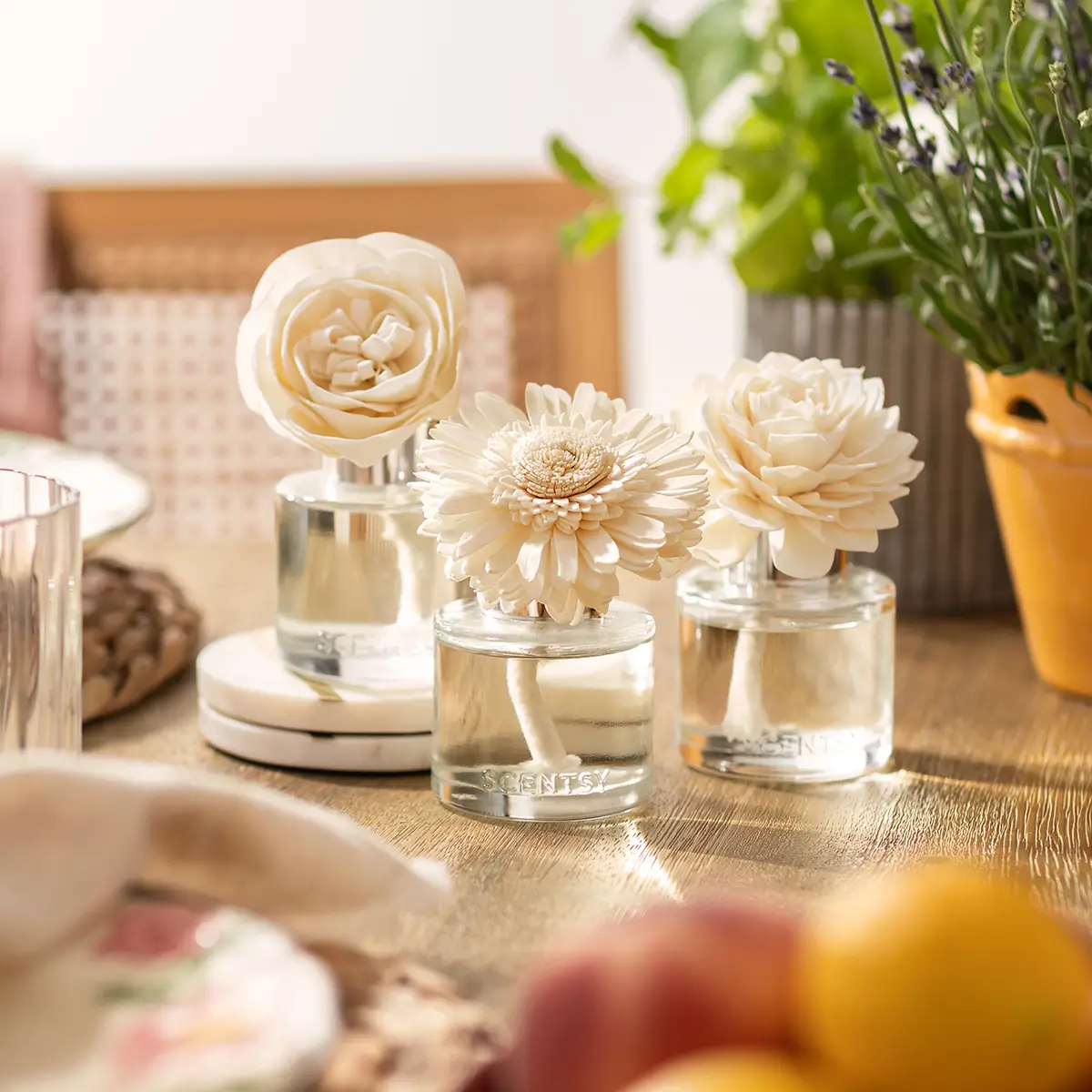 Scentsy Fragrance Flowers