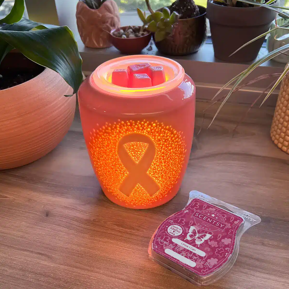 Breast Cancer Awareness Pink Scentsy Collection