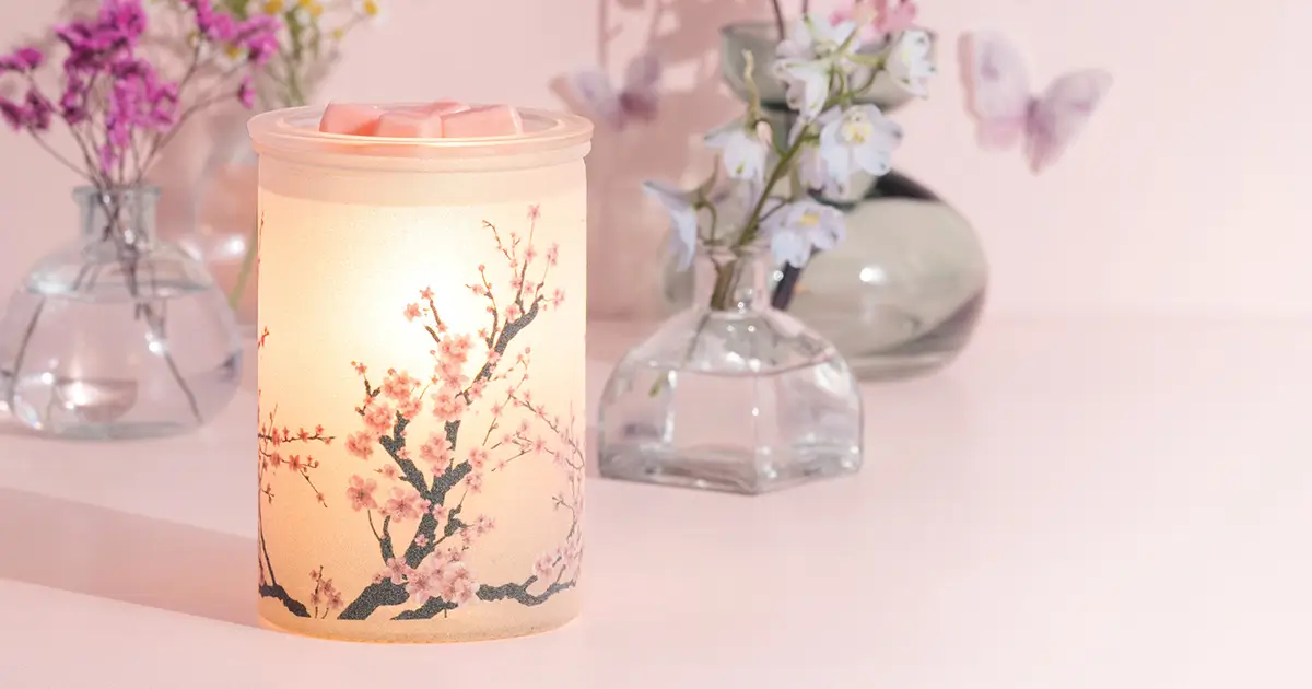 Scentsy Charitable Cause donation summary for the Spring/Summer 2024 season