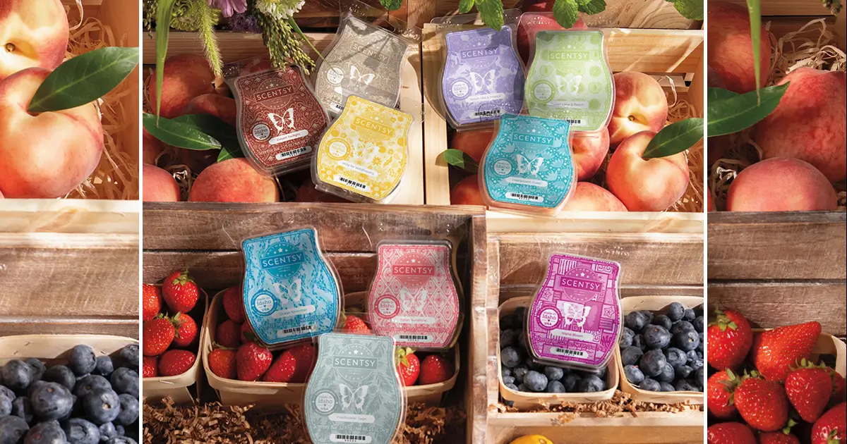 Scentsy Fragrances 