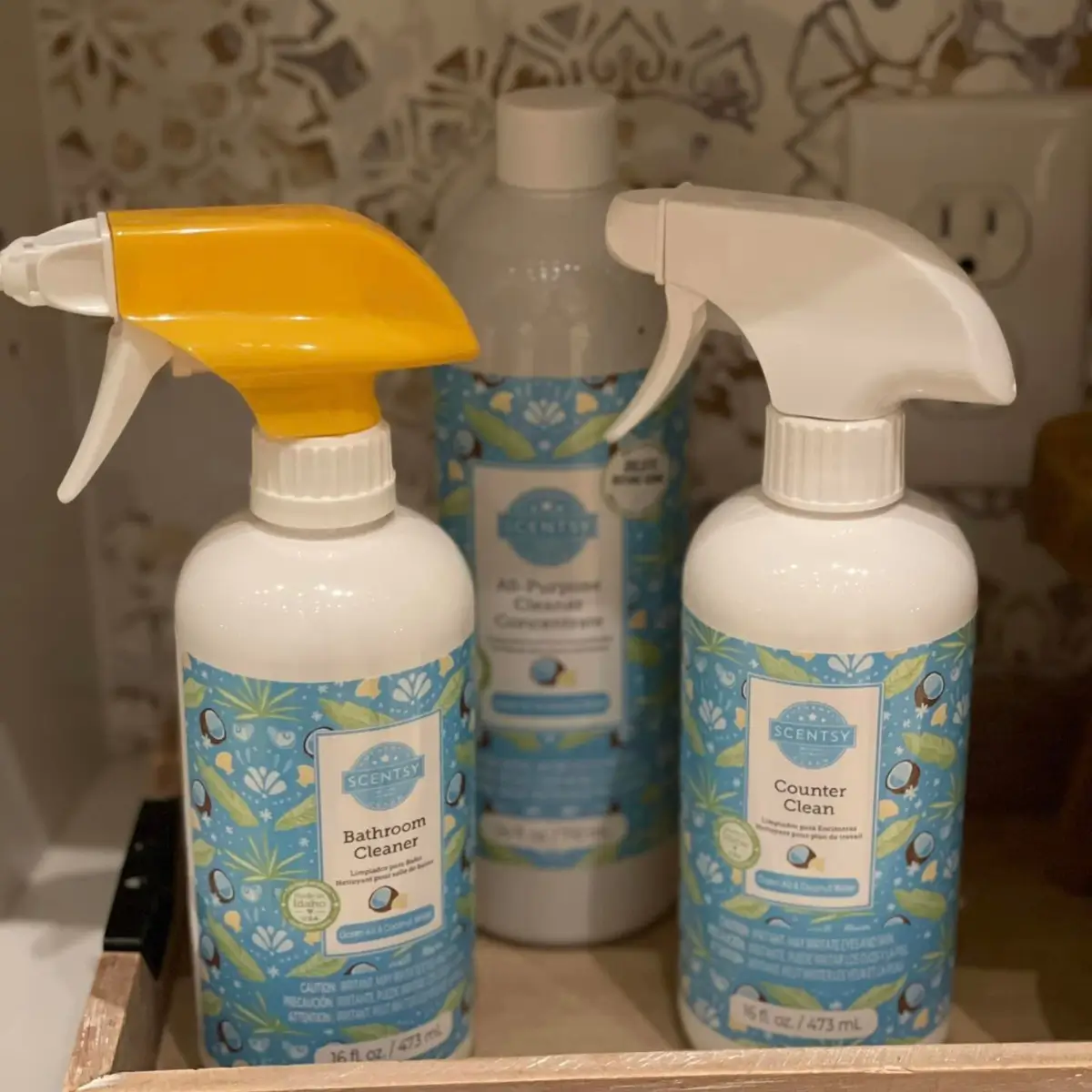 Scentsy Family Reunion - July 16-19, 2024 | Fall 2024 Info & Training