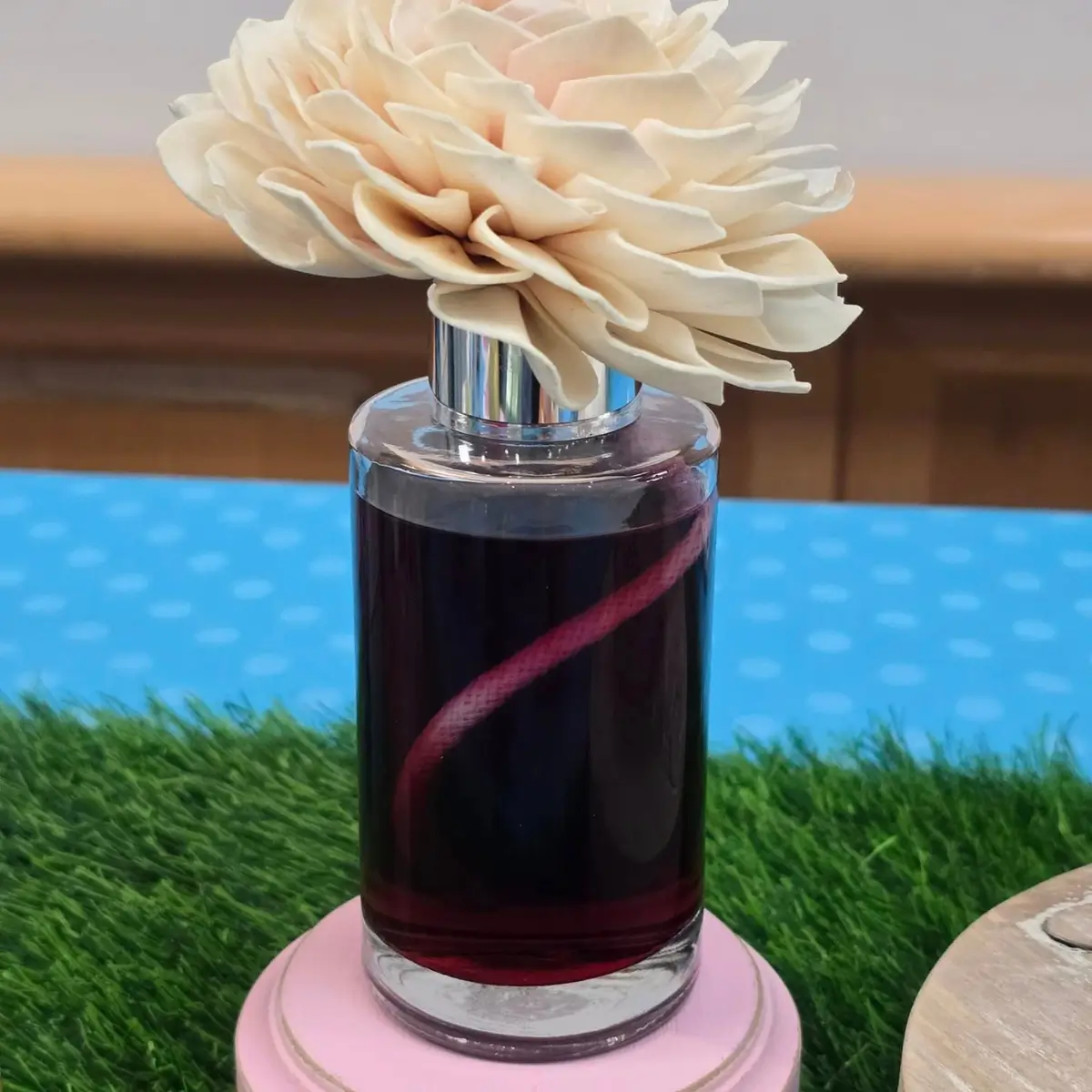 Scentsy 2025 World Tour | Training and Spring Summer Sneak Peeks!