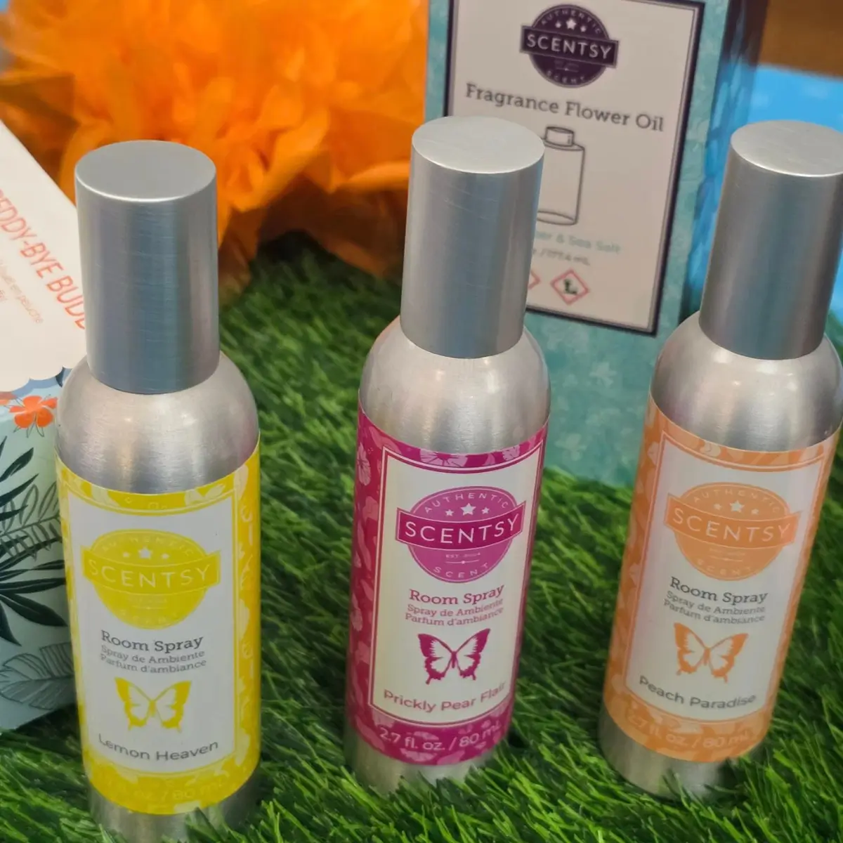 Scentsy 2025 World Tour | Training and Spring Summer Sneak Peeks!