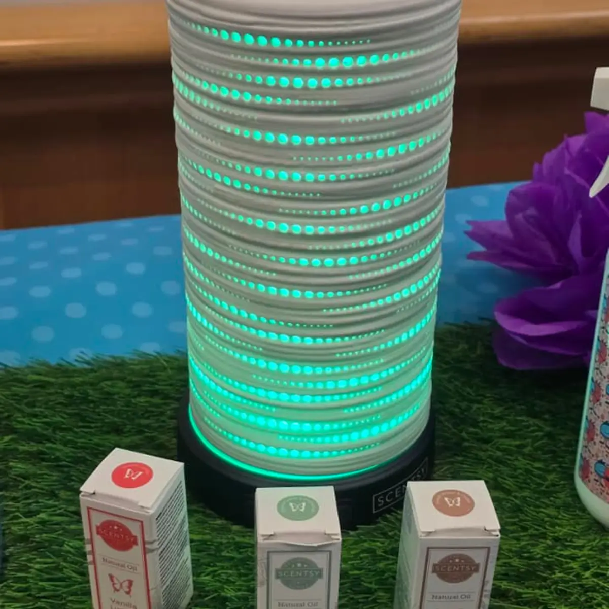 Scentsy 2025 World Tour | Training and Spring Summer Sneak Peeks!