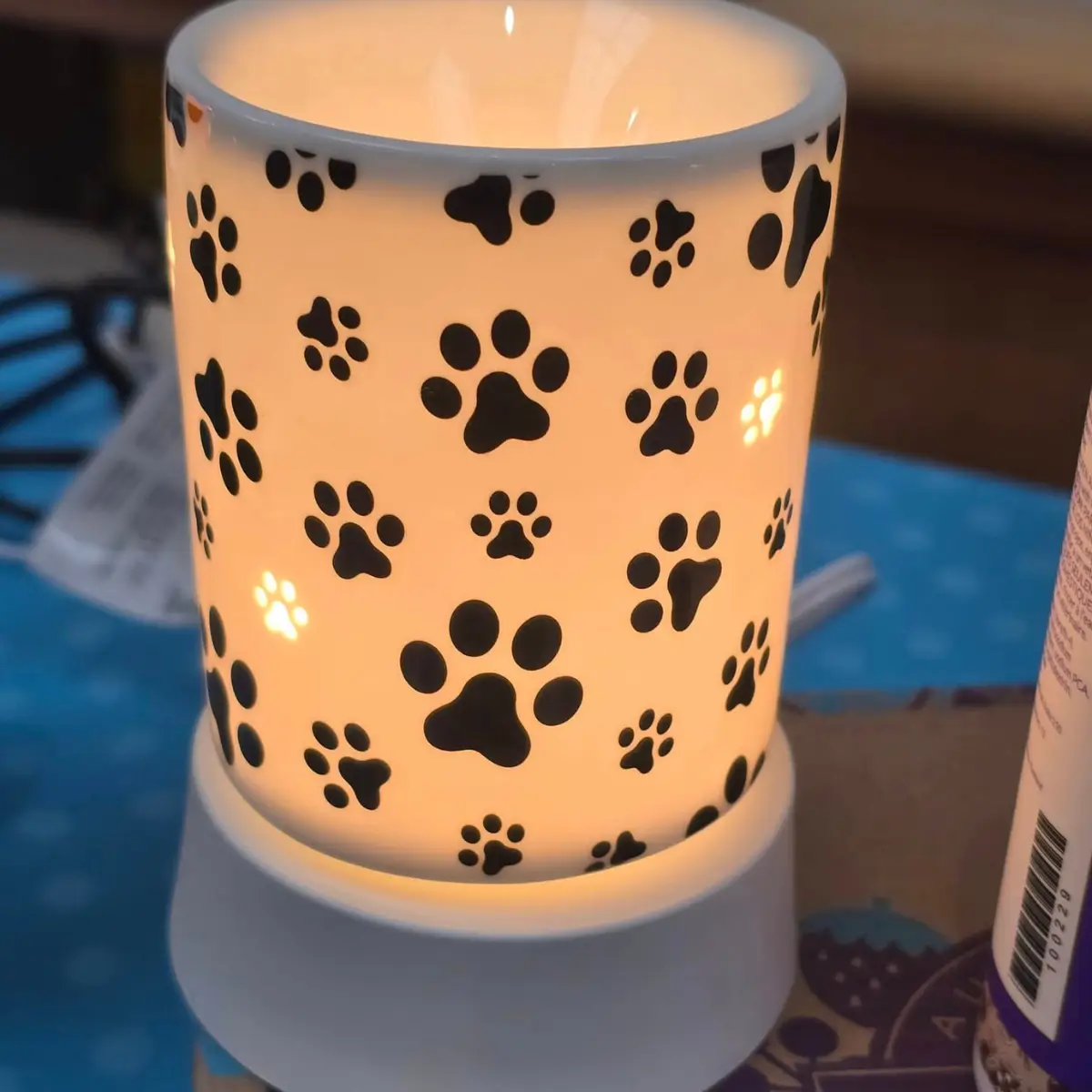 Scentsy 2025 World Tour | Training and Spring Summer Sneak Peeks!