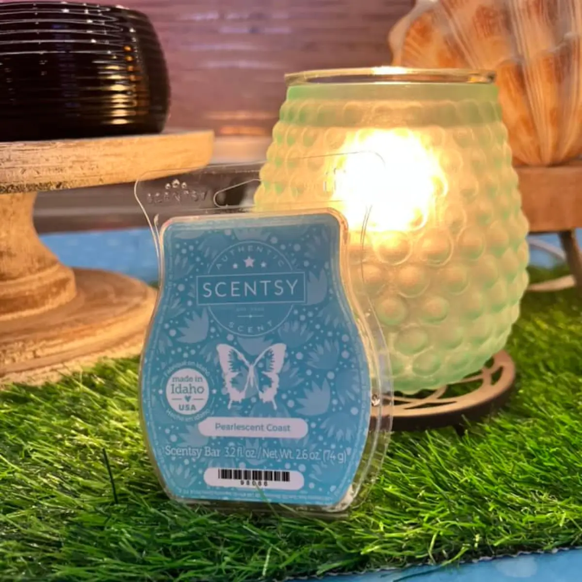 Scentsy 2025 World Tour | Training and Spring Summer Sneak Peeks!