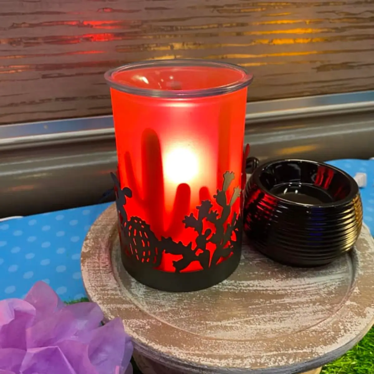 Scentsy 2025 World Tour | Training and Spring Summer Sneak Peeks!