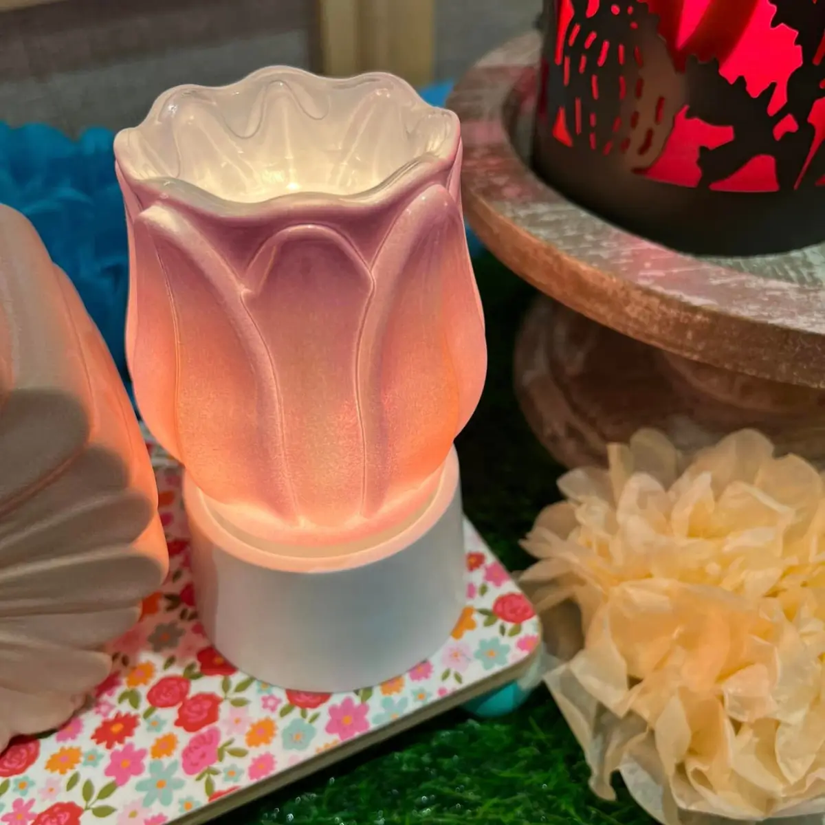 Scentsy 2025 World Tour | Training and Spring Summer Sneak Peeks!