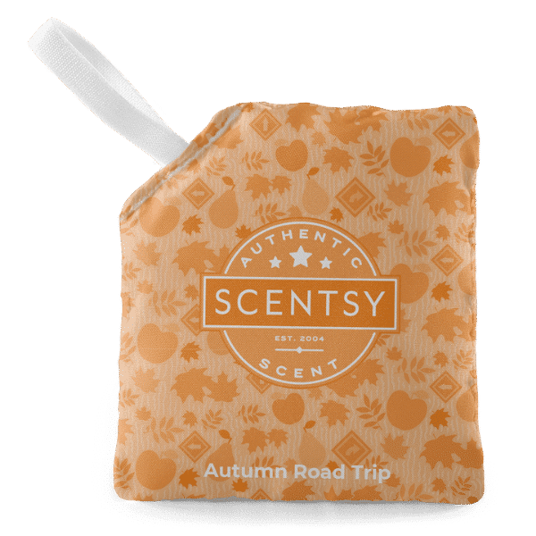 Aziza Scentsy Warmer