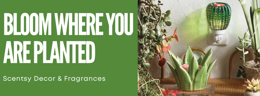Bloom Where You Are Planted | Earth Day with Scentsy