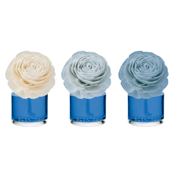 Coastal Rain Cove Scentsy Fragrance Flower