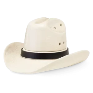 Country Born Cowboy Hat Scentsy Warmer