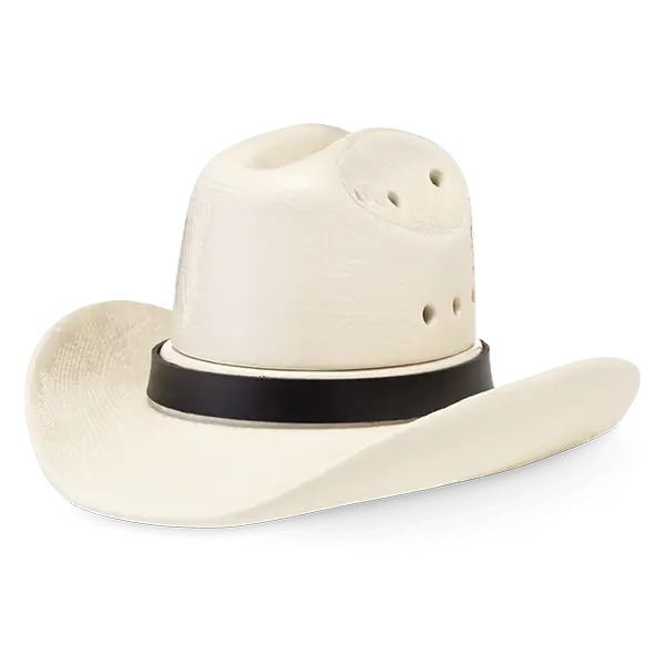 Country Born Cowboy Hat Scentsy Warmer