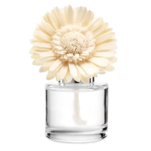 Aloe Water & Cucumber Dainty Daisy Scentsy Fragrance Flower