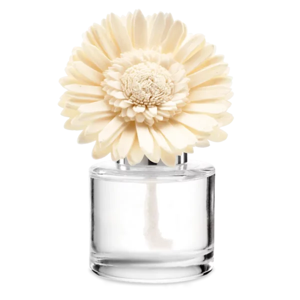 Amazon Rain Dainty Daisy Scentsy Fragrance Flower