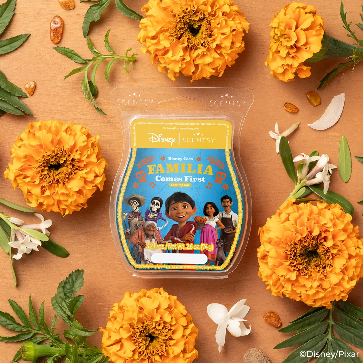 Disney's Coco Scentsy Collection with Harvest