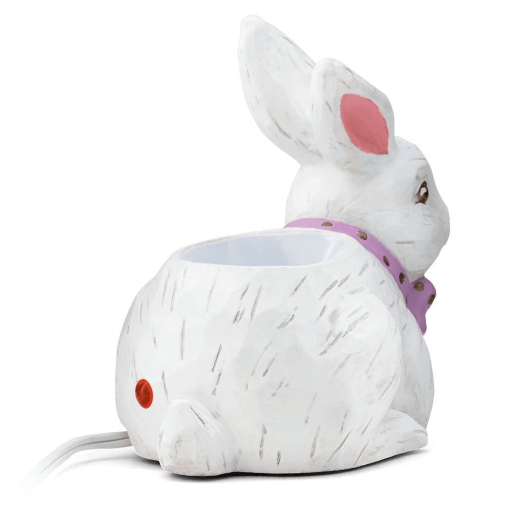 HOME Warmer HoppyEaster ISO Back R1 SS23