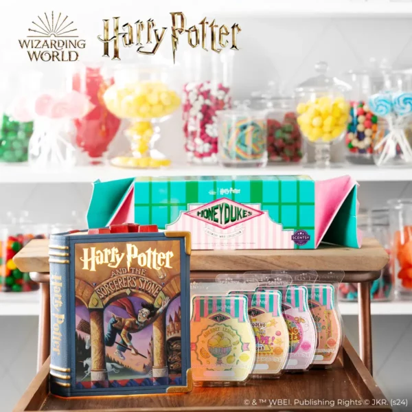 Harry Potter & The Sorcerer's Stone Scentsy Warmer