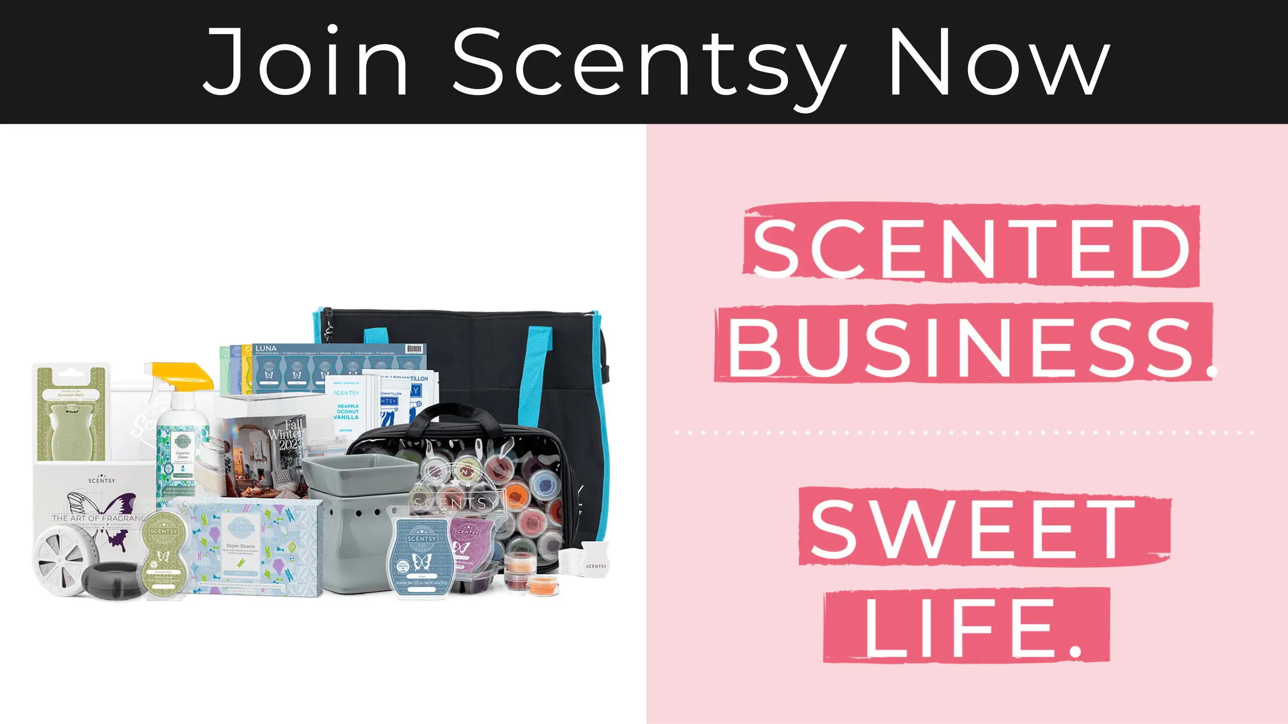 January 2024 Bonus Scentsy Starter Kit + NEW! Scentsy Dryer Sheets