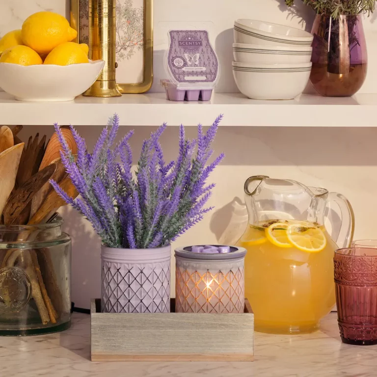 Scentsy July 2024 Warmer of the Month - Lavender Bouquet + Provence Lavender