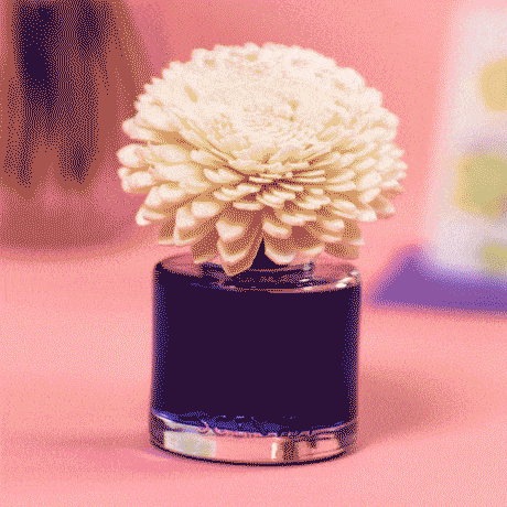 Scentsy 2024 Mother's Day Collection