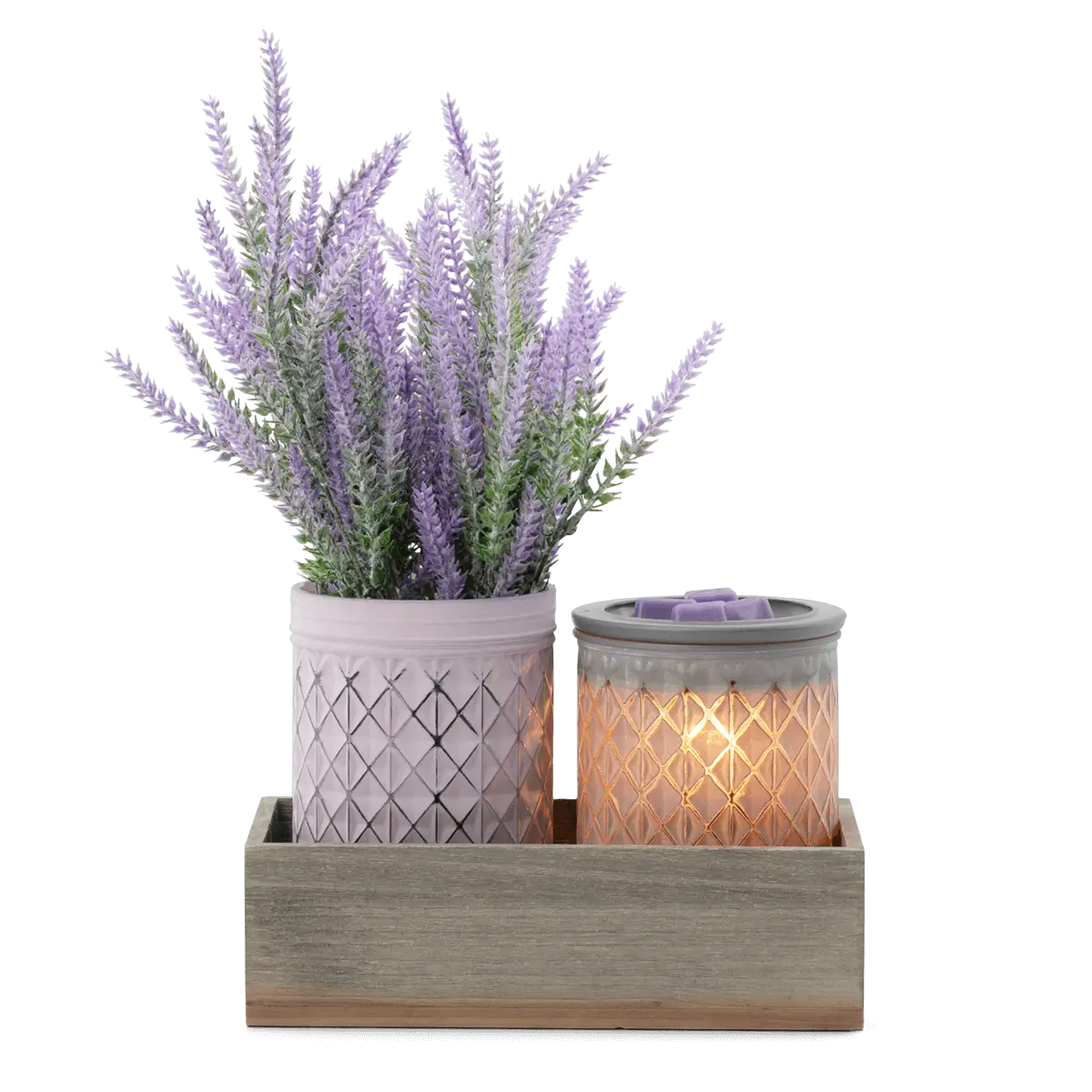 Scentsy July 2024 Warmer of the Month - Lavender Bouquet + Provence Lavender