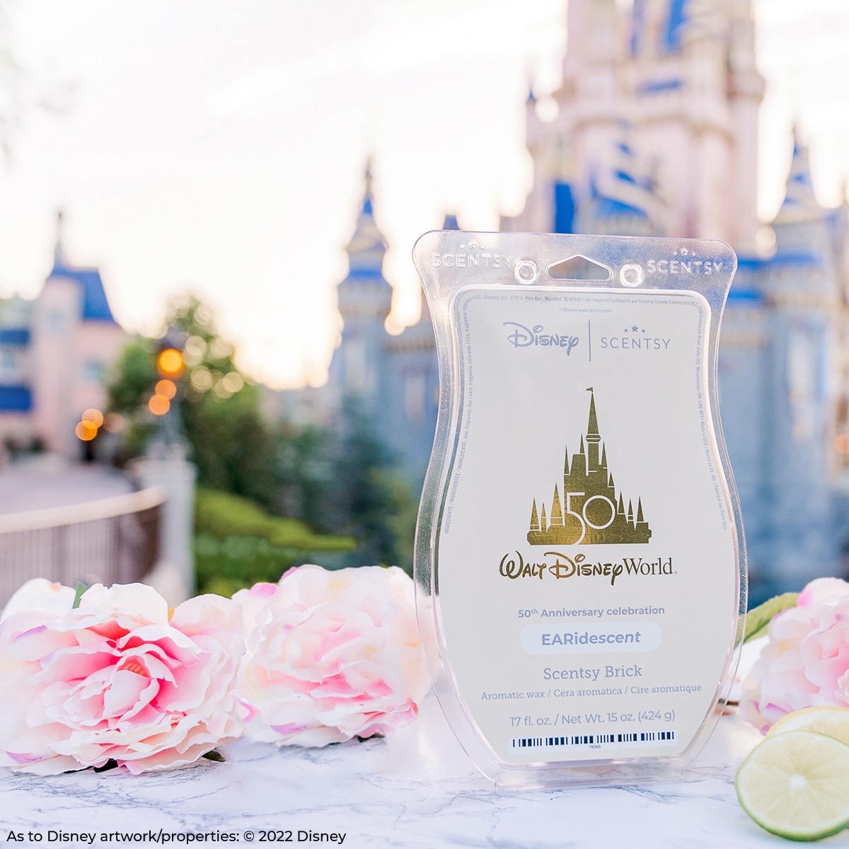MT FW22 Disney WDW50thAnniversary EARidescent Brick 1 Park R1