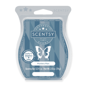 MYSTERY MAN SCENTSY BAR
