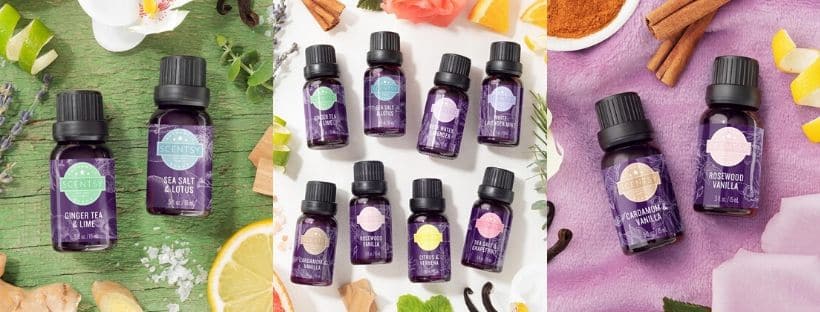 NEW SCENTSY OILS