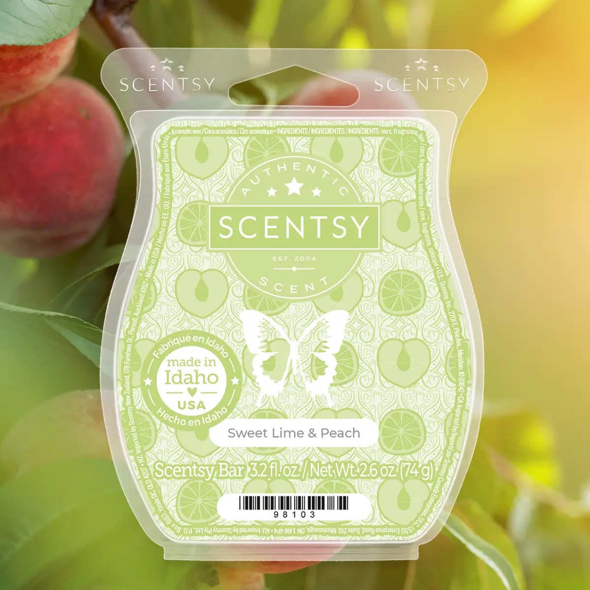 View the Scentsy 2025 Spring Summer Catalog Scent List