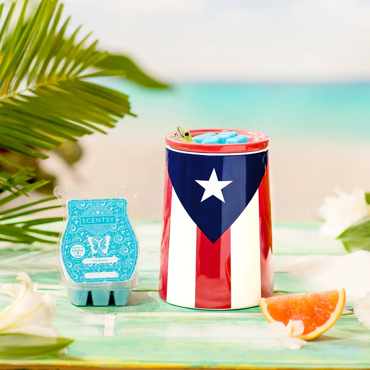 Scentsy Noche De San Juan Collection