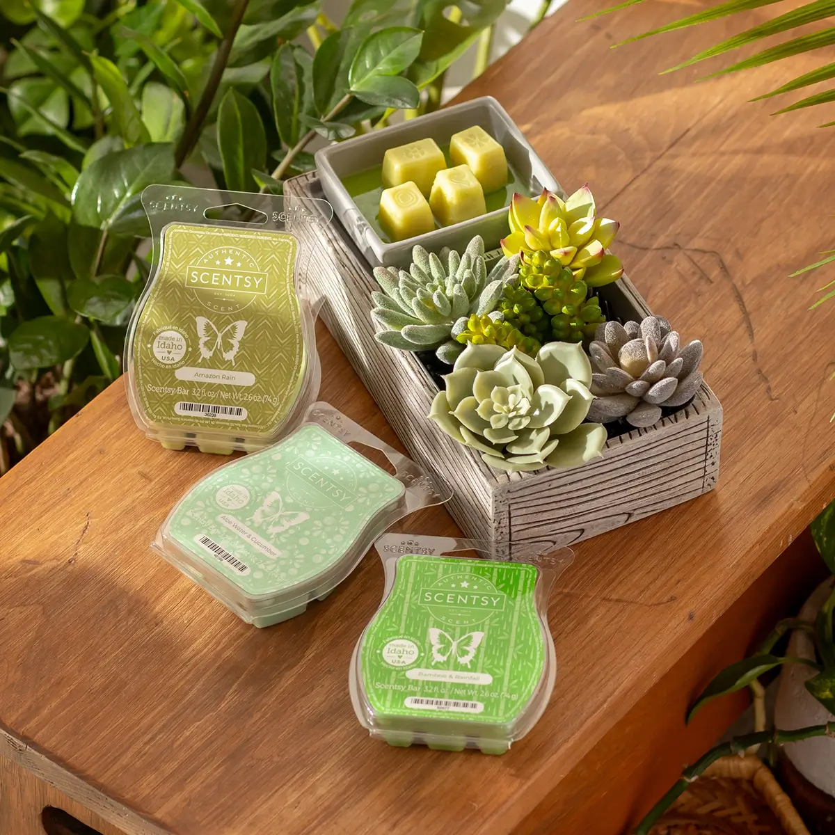 Scentsy Plant Appreciation Day Warmer Bundle