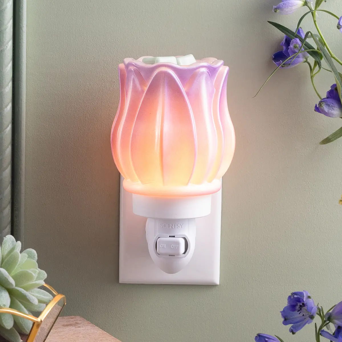 Scentsy Store: Warmers & Wax Bars