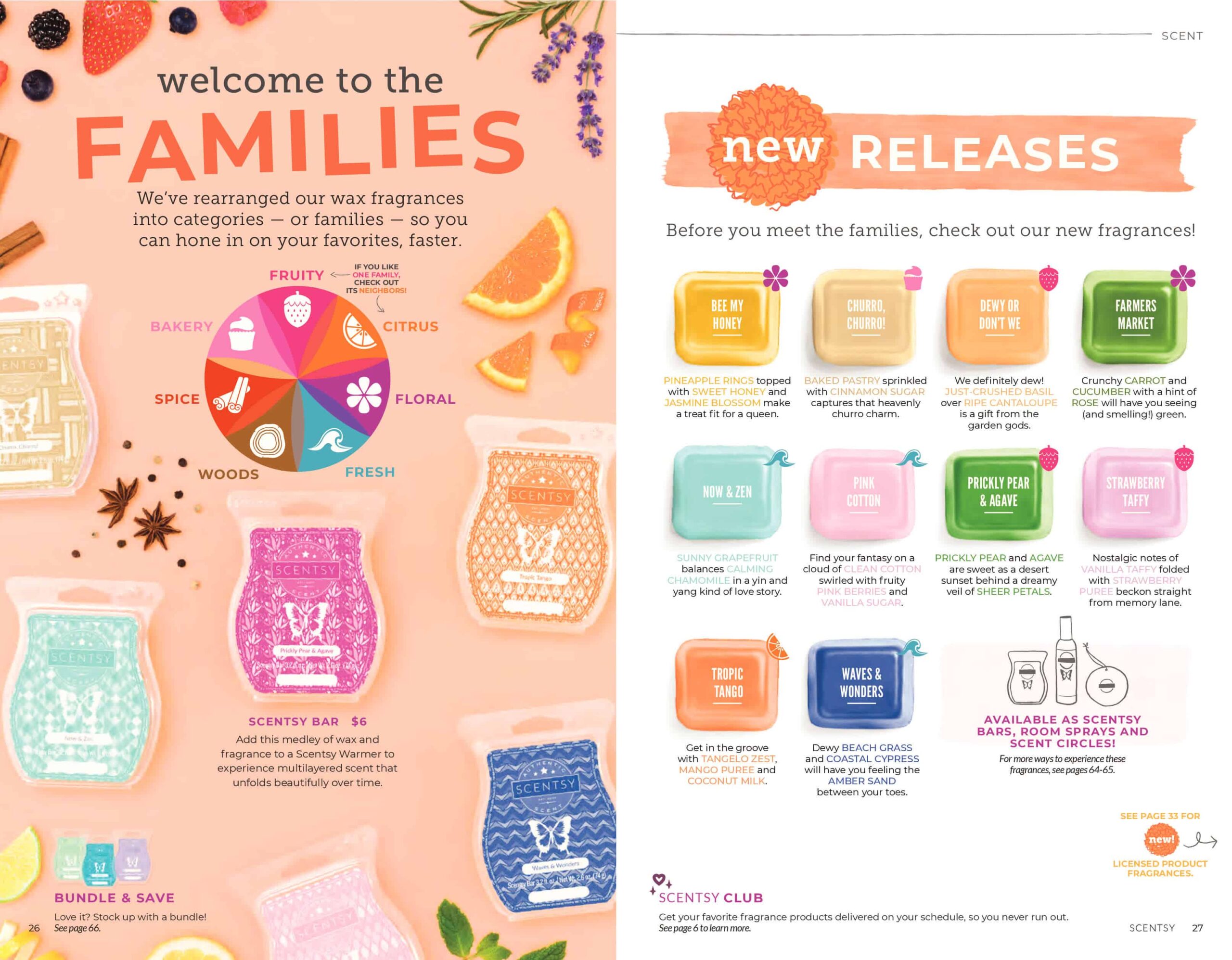 SCENTSY SPRING SUMMER 2019 CATALOG 13