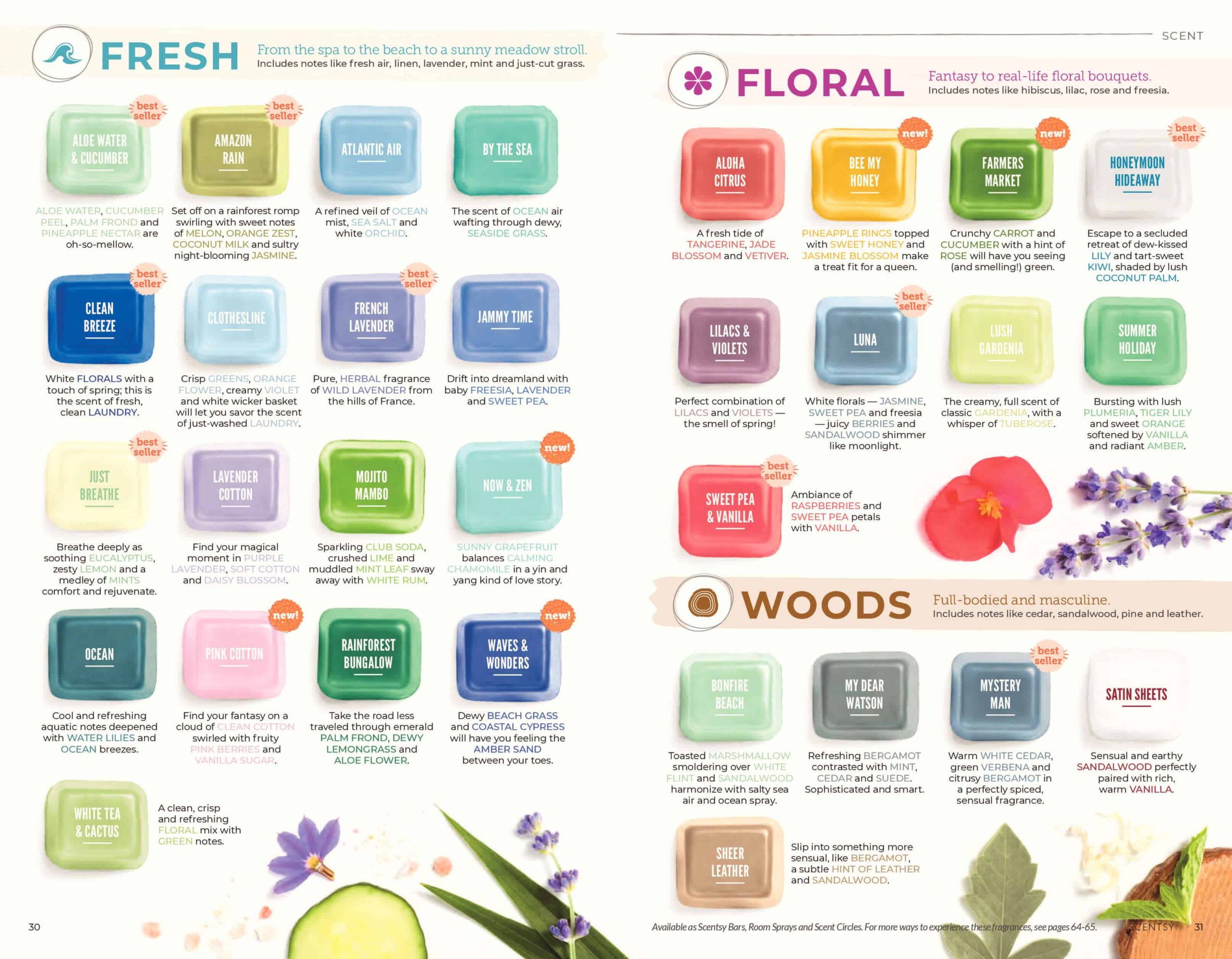 SCENTSY SPRING SUMMER 2019 CATALOG 15