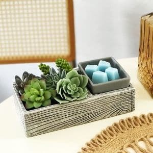 SUC CUTE LENT SCENTSY WARMER PALM TREES OCEAN BREEZE