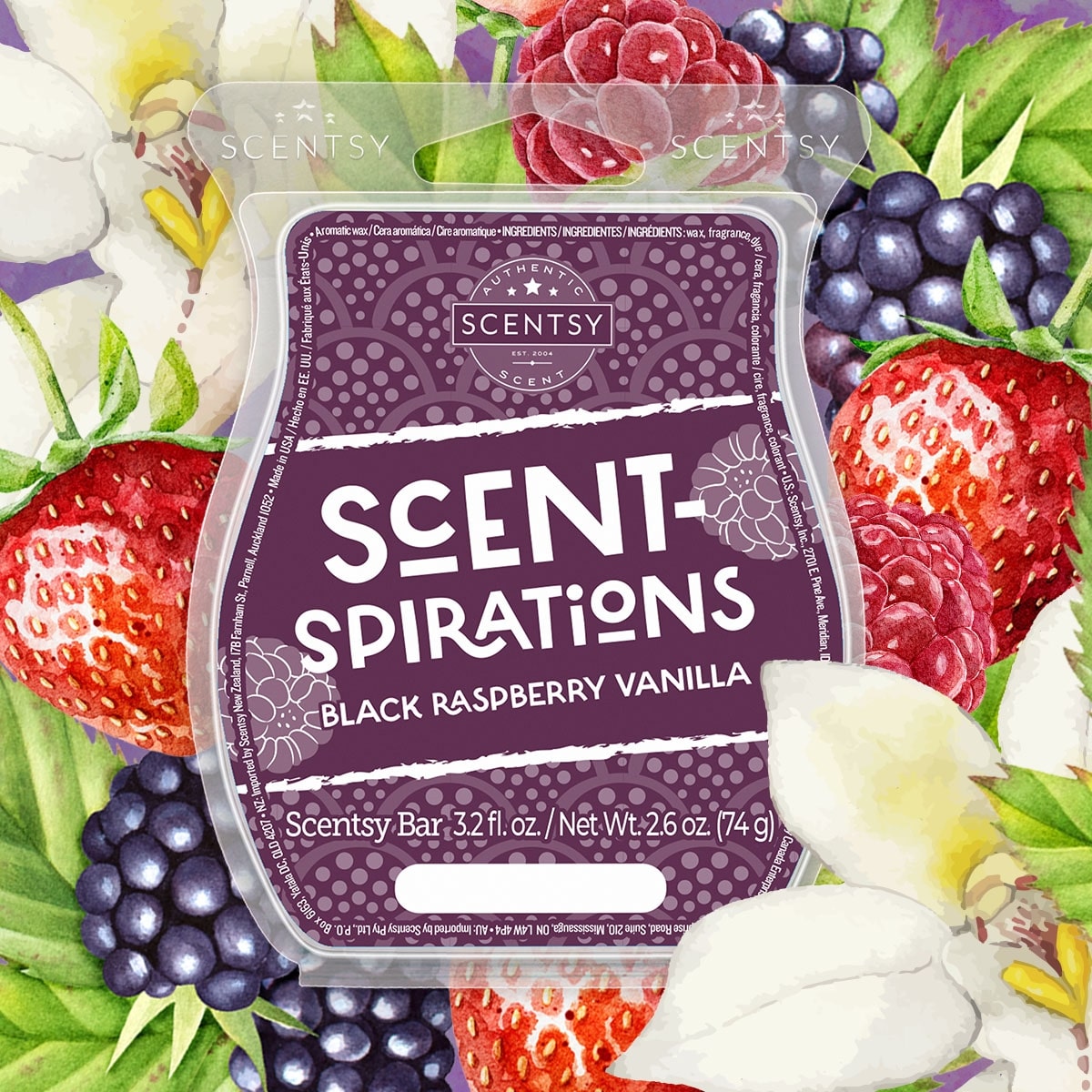 Scentsy Scent-Spirations 2024 Black Raspberry Vanilla Collection