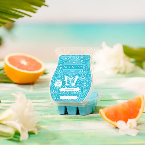 Sea Breeze Scentsy Bar | Noche De San Juan
