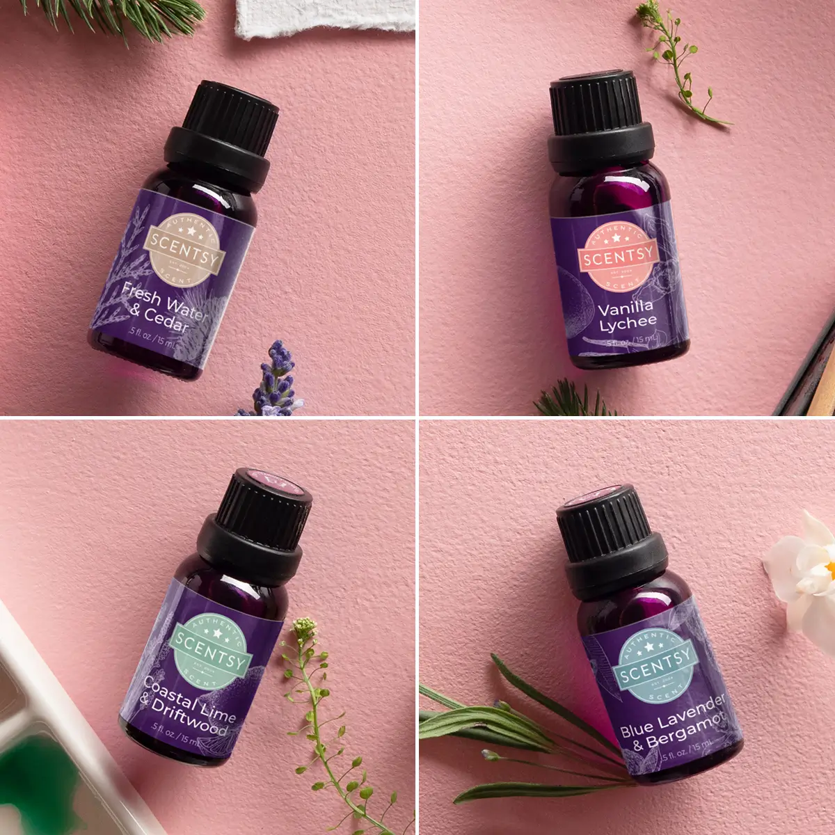View the Scentsy 2025 Spring Summer Catalog Scent List