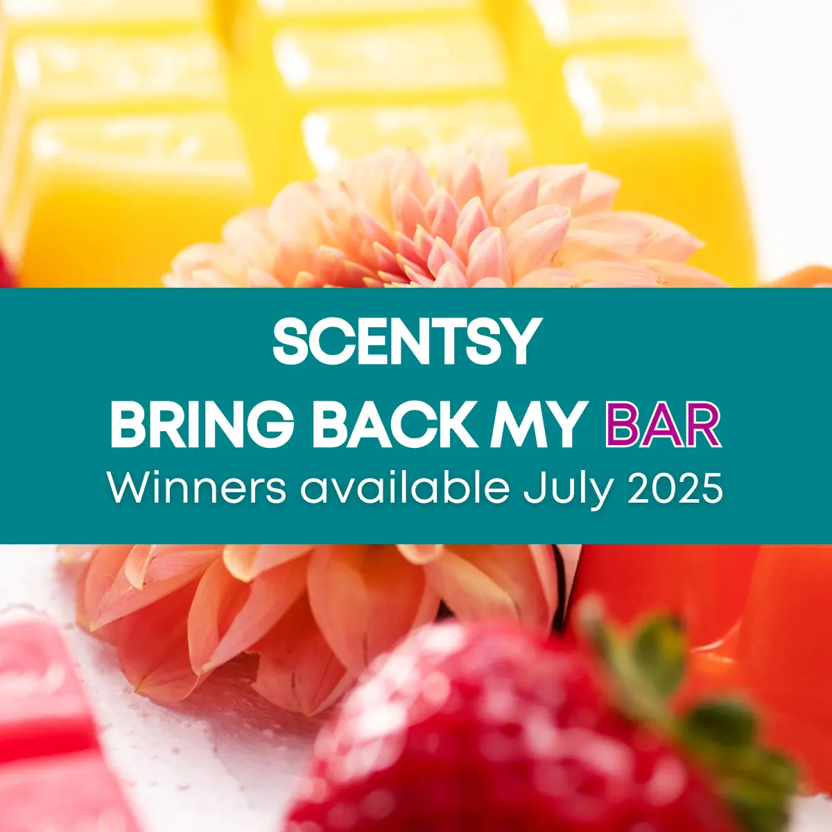 Scentsy Bring Back my Bar July 2025 Winners