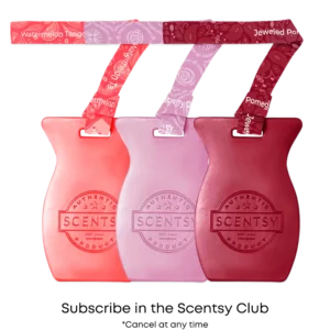 Scentsy Car Bars | Scentsy Club Subscription